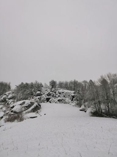 A beautiful shot of a field and trees covered with snow in Larvik, Norway
