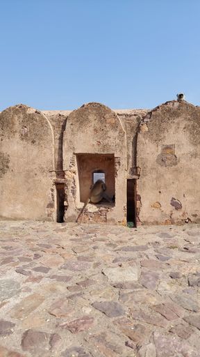A vertical shot of an old fortress wall under a clear blue sky