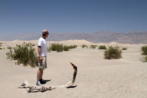 A wide angle shot of a man standing in the Death Valley National Park in USA