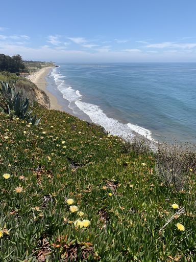 A vertical shot of the Pacific Ocean coast from a hillside in Santa Barbara, California, the USA