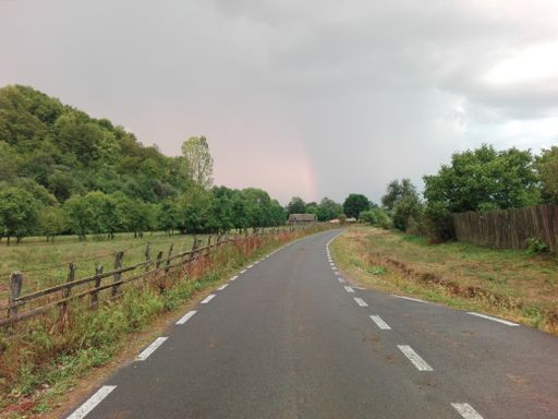 A closeup shot of an empty road surrounded by trees under a cloudy sky