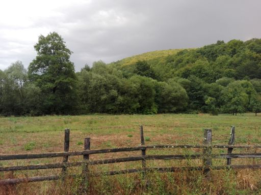 A closeup shot of a fence near a forest under a cloudy sky
