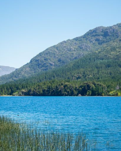 A vertical shot of a river and mountains covered by treesunder the clear sky