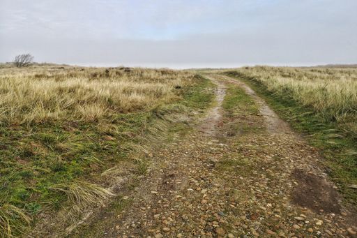 A wide angle shot of a walkway in the middle of a green field