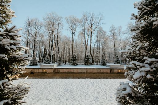 A beautiful shot of a park with pine trees covered by snow in Saint Petersburg, Russia