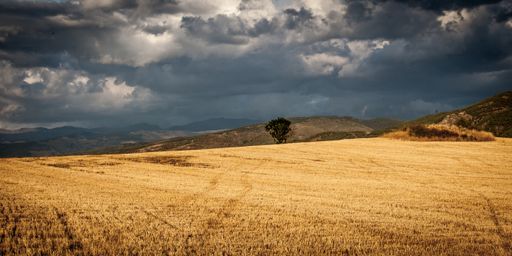 A scenery of a field surrounded by mountains under the cloudy sky