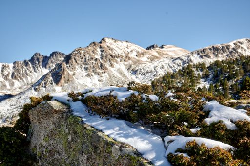 A selective focus shot of mossy rock with snowy mountains  landscape in the background