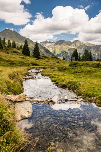 A vertical shot of shallow stream flowing in lush green hillside meadow