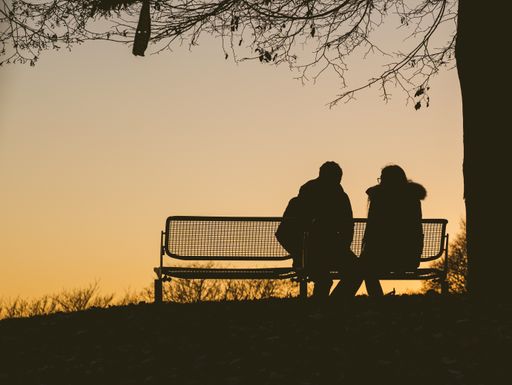 The silhouette of two people sitting on a bench under a tree during a sunset
