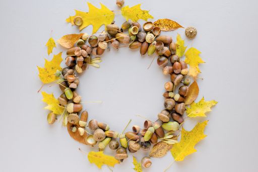 A beautiful wreath made of acorns and different sized autumn leaves on a light purple background