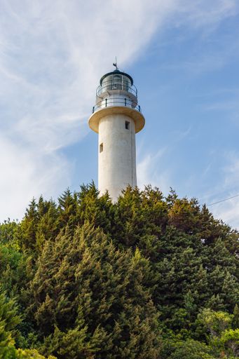 A low angle shot of a lighthouse on background of the cloudy blue sky seen through trees