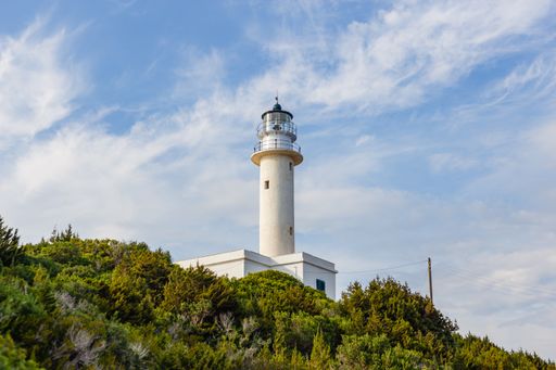 A beautiful shot of a lighthouse seen through trees