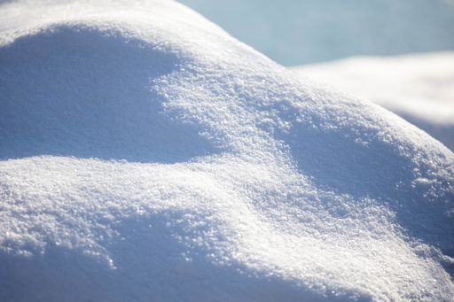 A closeup shot of fresh fluffy snow