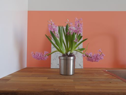 A beautiful shot of a purple flower in a plant pot on a wooden table