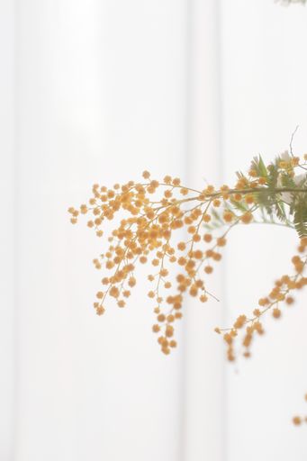A vertical shot of yellow flowers indoors