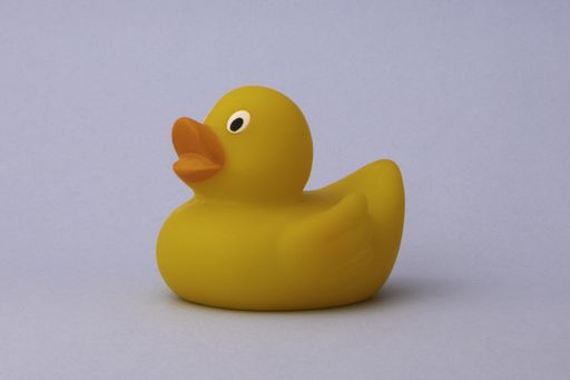 A rubber duck toy isolated on a white background