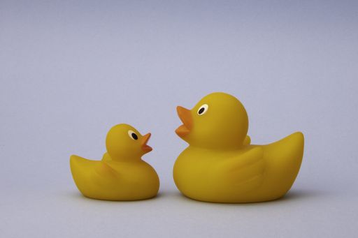 Two rubber duck toys isolated on a white background