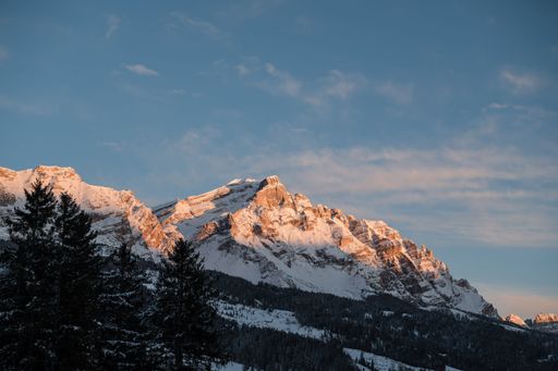 A scenic landscape featuring a range of snow-capped mountain peaks illuminated by the golden morning light, with lush evergreen trees
