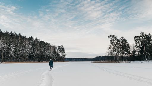 A back view of a male with his dog walking in a snowy park under the scenic sky