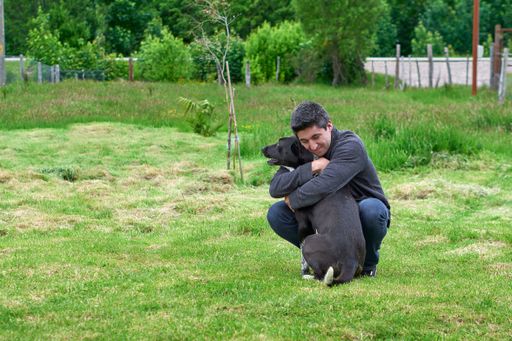 A young man showing affection to his pet while spending time outdoors