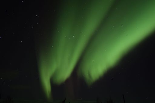 An amazing shot of the Northern lights (aurora borealis) in the night sky