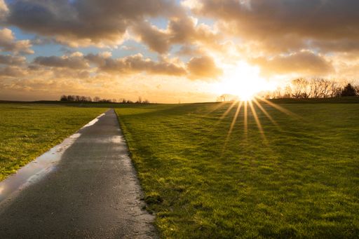 A winding, empty road with luscious green grass on either side