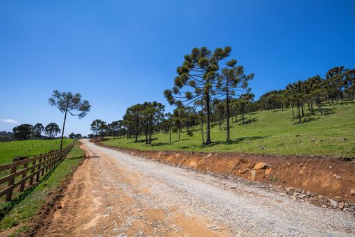 A road leading through green landscapes with trees under a clear blue sky in Bra