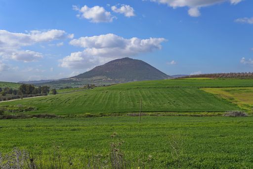 Ramat Trump, is a planned Israeli settlement in the Israeli-occupied Golan Heights named after and in honor of  President Donald Trump.