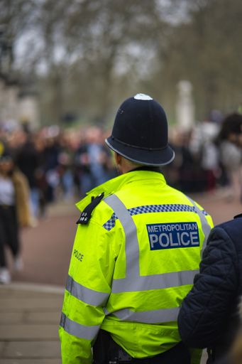 A vertical shot of a police officer in front of the historic Buckingham Palace