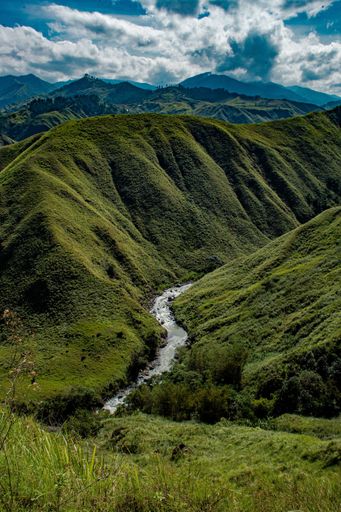 A beautiful view of a narrow river flowing through verdurous and high mountains in summer