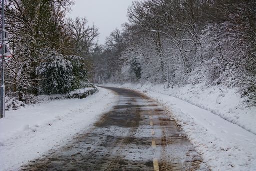A closeup shot of a country road cleaned from snow with trees on both sides