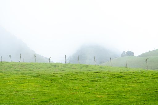 A landscape of a farm field covered in greenery and fog in the countryside