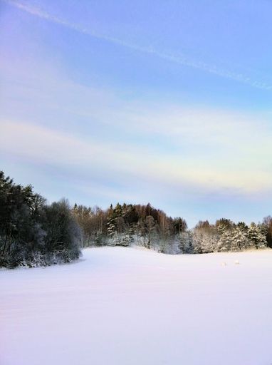 A field covered in the snow surrounded by greenery under the sunlight in Larvik in Norway