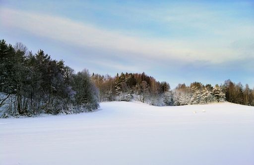 A field covered in the snow surrounded by greenery under the sunlight in Larvik in Norway