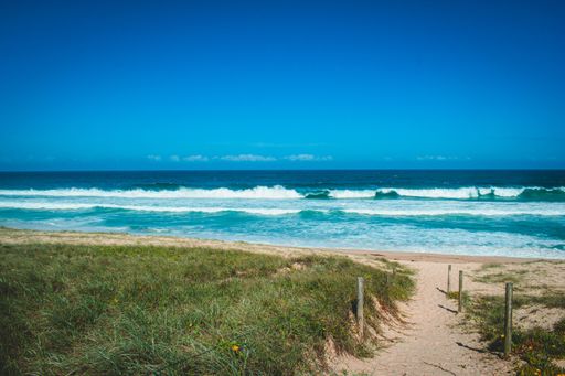 A calm beach captured from a grass-covered pathway on a sunny day