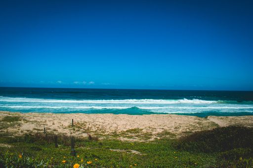 A calm beach captured from a grass-covered pathway on a sunny day