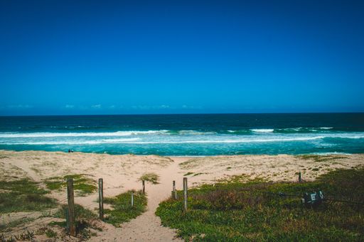 A calm beach captured from a grass-covered pathway on a sunny day