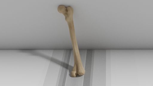 An artificial bone and a shadow on a gray backgroun