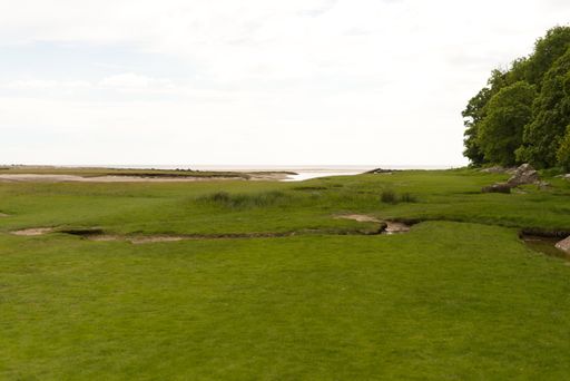 This image shows an expansive grass field under a cloudy sky