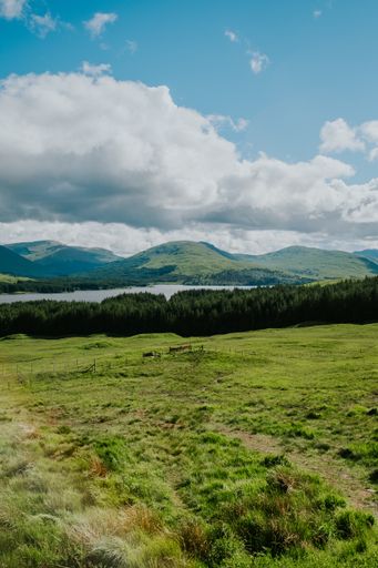 A vertical shot of Scottish highlands on a blue sky background