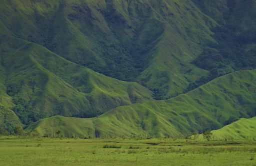 A beautiful field over a background of green mountains