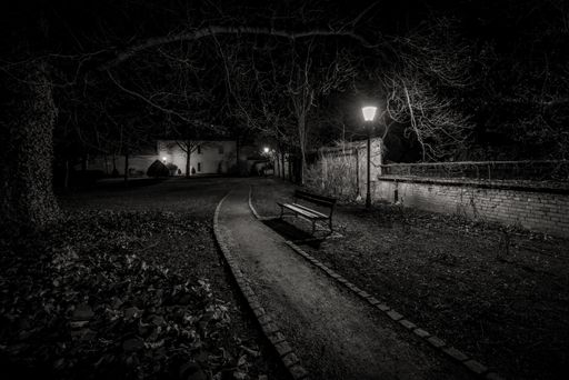 A grayscale shot of a narrow pathway in a park with a lamp on it at night - concept of horror