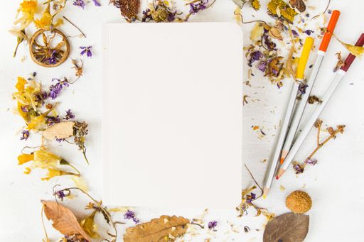 A top view of a blank notepad with space for text and colorful pencils on a table covered in dried plants