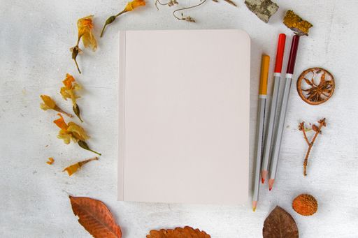 A top view shot of Notebooks, pencils, and beautiful plants on the white background.