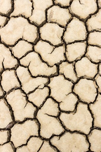 A vertical shot of an arid cracked soil texture
