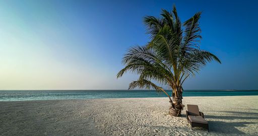 A mesmerizing sandy beach resort with a palm tree and a cozy deckchair under it