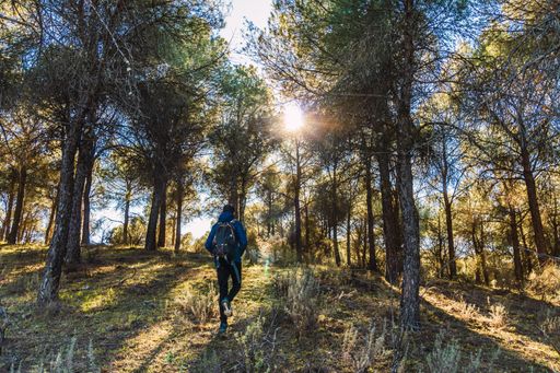 Stock photo of unrecognized man walking in the forest and wearing backpack. Sierra de Andujal National Park, Jaen, Spain.