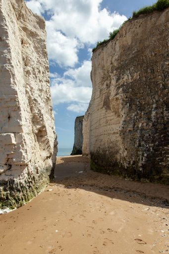 A vertical picture of The White Cliffs of Dover under the sunlight in the UK