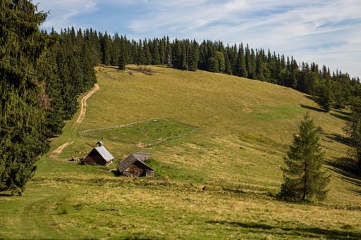 A beautiful landscape with wooden houses on the hill surrounded by greens under the cloudy blue sky