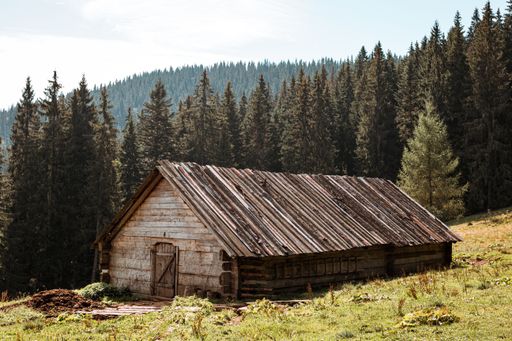 A beautiful landscape with a wooden building on the grassy hill surrounded by trees